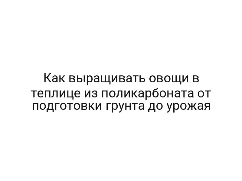 Как выращивать овощи в теплице из поликарбоната от подготовки грунта до урожая