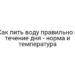 Как пить воду правильно в течение дня — норма и температура