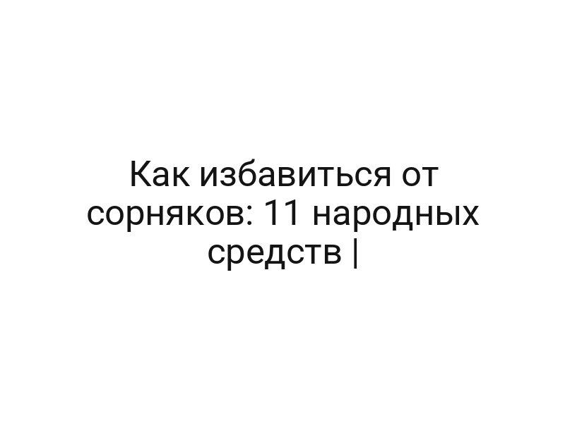 Как избавиться от сорняков: 11 народных средств |